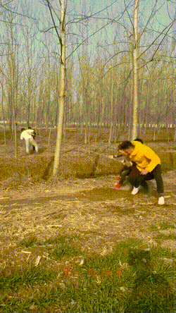 爆笑的动态图：三哥真乃神人也！