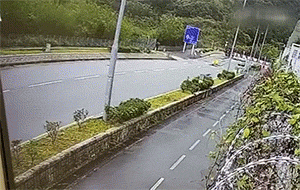 有意思的动图：这是怀了……啥情况啊？