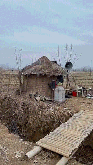 很火的GIF：野鹿的弹跳力有多强