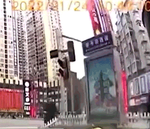 很火的GIF：野鹿的弹跳力有多强