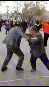 很火的GIF：野鹿的弹跳力有多强