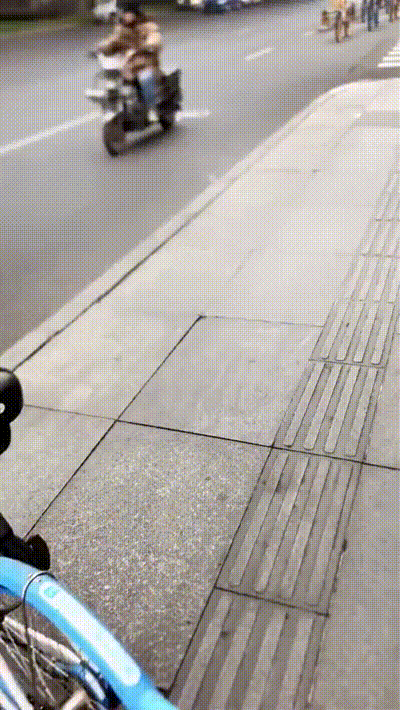 很火的GIF：野鹿的弹跳力有多强