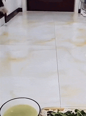 好笑的GIF：气质这块，拿捏的很到位