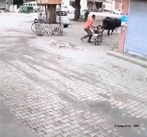 好笑的GIF：气质这块，拿捏的很到位