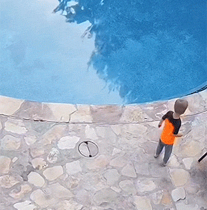好笑的GIF：气质这块，拿捏的很到位