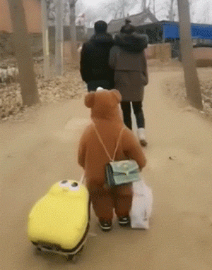 经典有味的动图:这车一上路,能惊艳到一群女司机