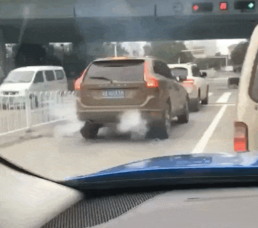 爆笑GIF：鸡哥，指定有故事