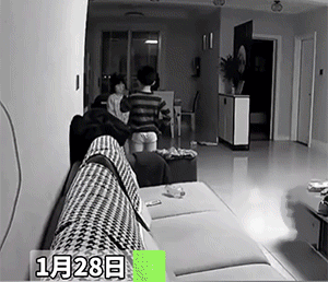 爆笑GIF：鸡哥，指定有故事