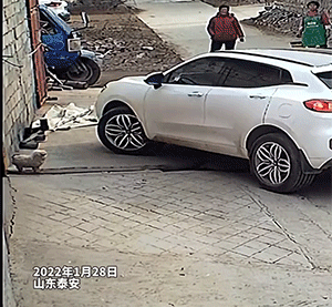 爆笑GIF：鸡哥，指定有故事