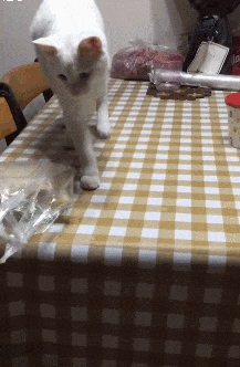 搞笑的动图：如何毁掉信任！