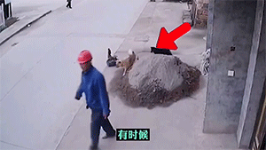第三波：监控拍下的那些不可思议的画面GIF动图！