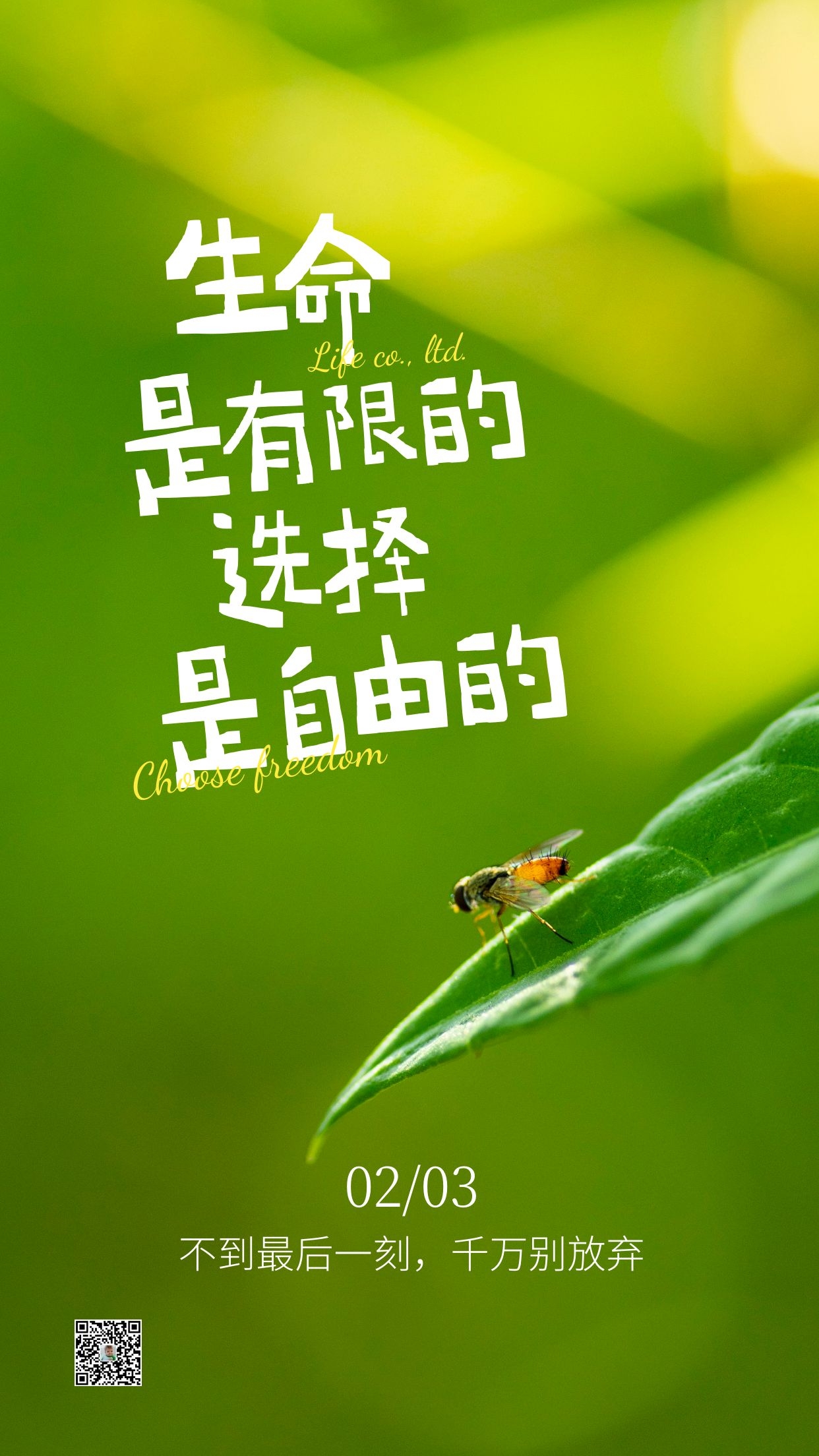 大年初三早安图片心语说说，正月初三风俗配图拜年祝福语