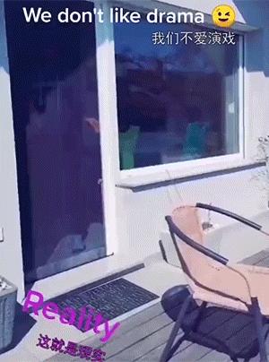 爆笑GIF动图：当邻居吵架时，他的邻居是这样的！