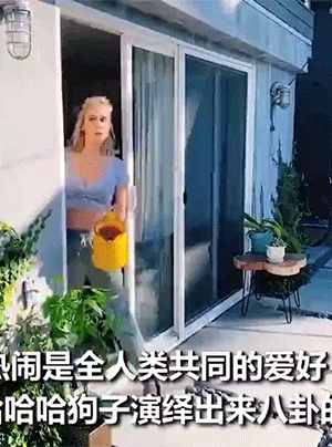 爆笑GIF动图：当邻居吵架时，他的邻居是这样的！