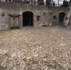 好笑的GIF：这一定是特别的缘分！