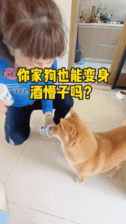 好笑的GIF：这一定是特别的缘分！