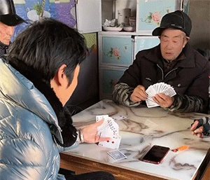 好笑的GIF：这一定是特别的缘分！