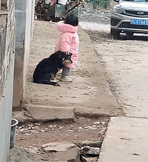 好笑的GIF：这一定是特别的缘分！