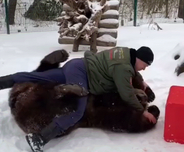 搞笑GIF动图：浑身肌肉的世界冠军，居然被一块肉征服了