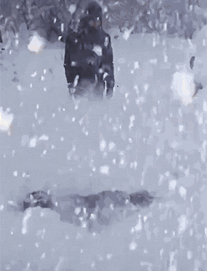 搞笑GIF：别以为你会玩雪？其实是雪玩你！