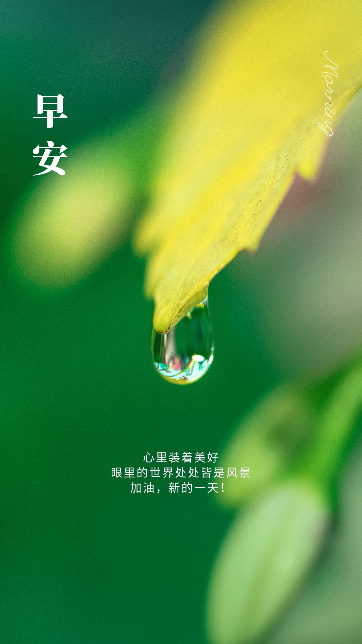 大年初六早安图片说说语录，正月初六配图送穷鬼开门红！