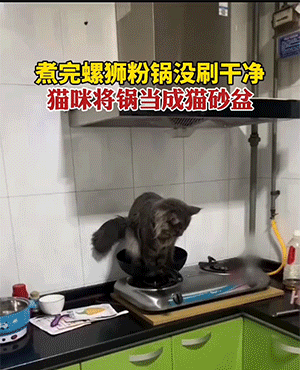 爆笑动图：这个屁墩儿摔得，肯定终生难忘吧