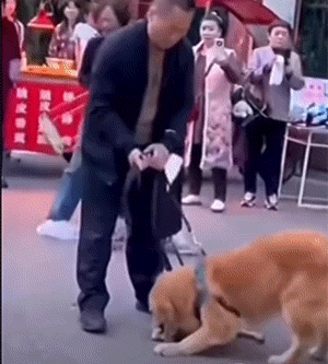 好笑的动态图：一路火花带闪电…..
