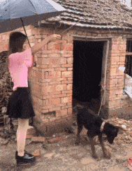 搞笑动图：最后一步血压爆表