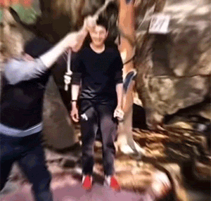 网红秋千失误悲剧GIF动图大盘点！