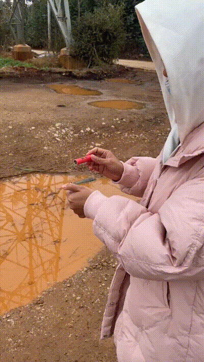 搞笑的GIF：干饭使人单身