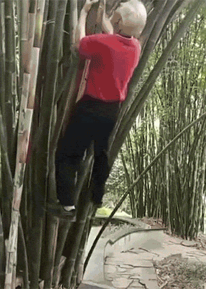 第四波：监控拍下的那些不可思议的画面GIF动图！