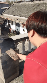 搞笑动态图：本想开心转一圈，结果骂骂咧咧走了