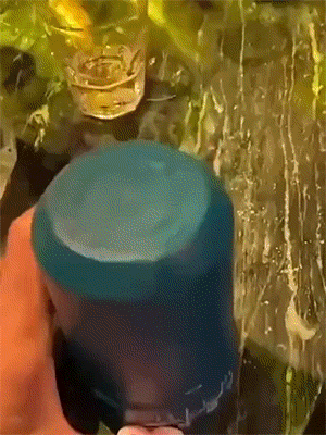 GIF：看来是今晚不想让小姐姐回家了啊！