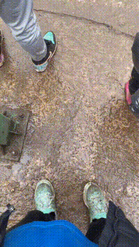 GIF：看来是今晚不想让小姐姐回家了啊！
