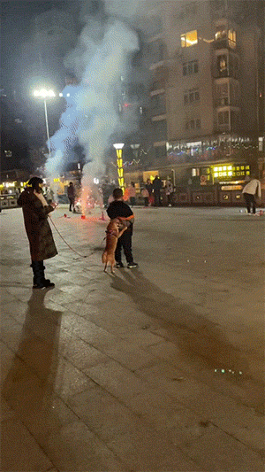 GIF：看来是今晚不想让小姐姐回家了啊！