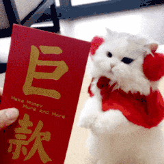 GIF：看来是今晚不想让小姐姐回家了啊！