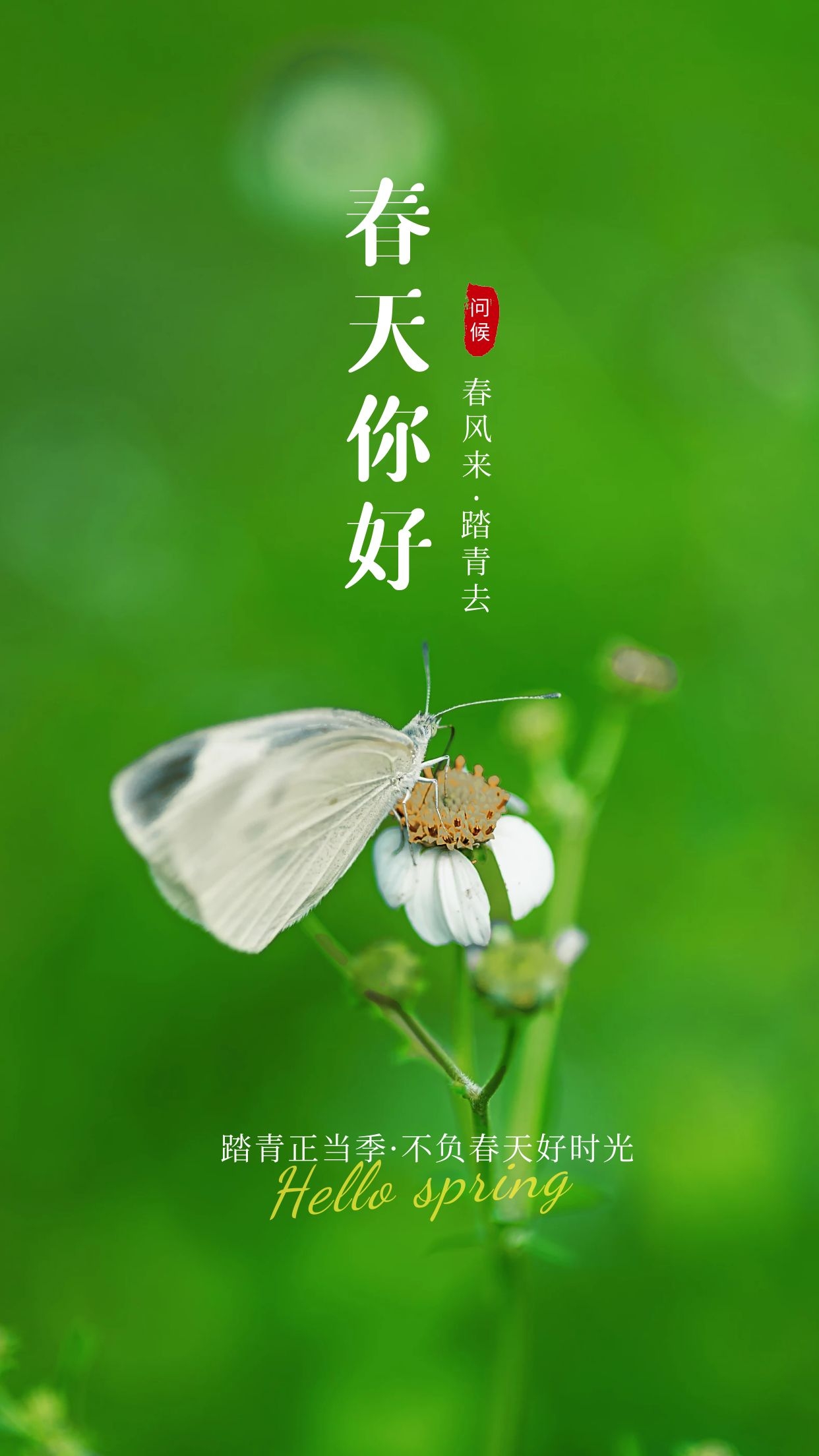大年十一早安图片心语说说，正月十一配图文案祝福语句子