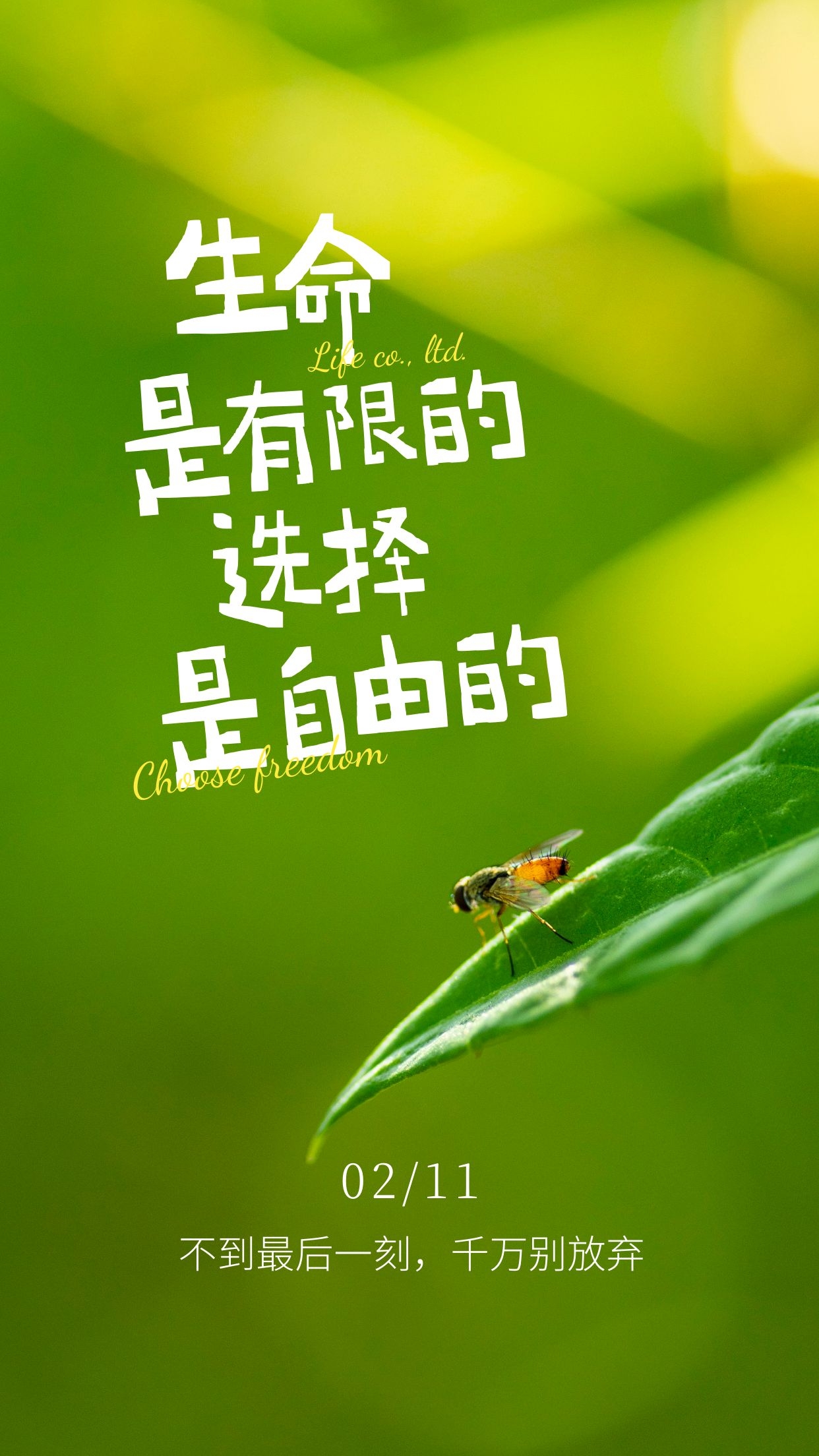大年十一早安图片心语说说，正月十一配图文案祝福语句子