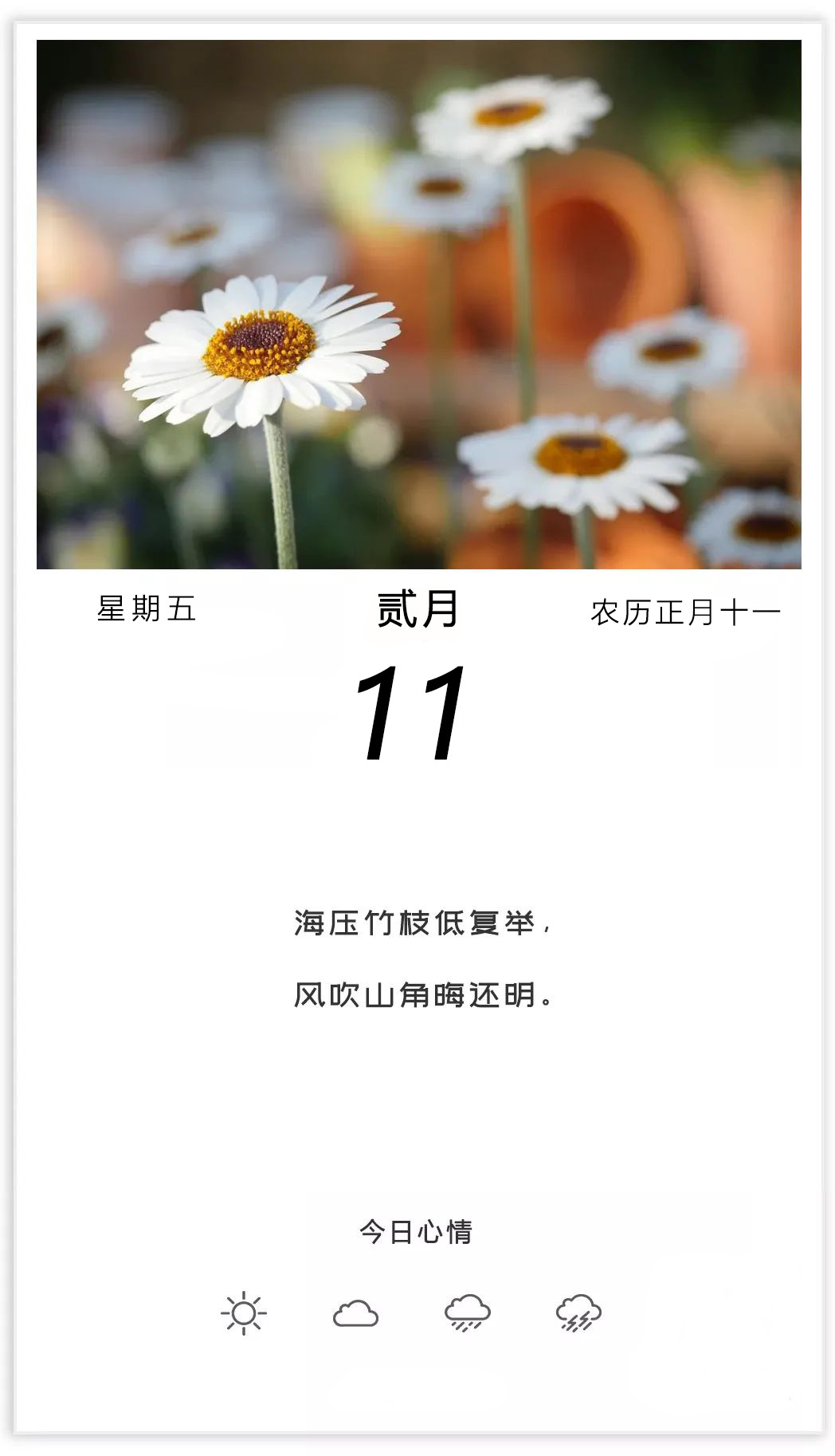 大年十一早安图片心语说说，正月十一配图文案祝福语句子