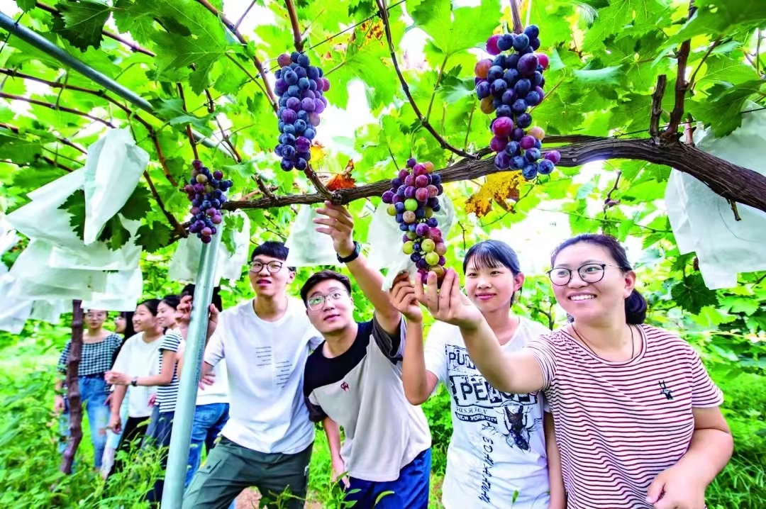 鹤壁市淇滨区乡村振兴局：谋新篇、开新局，巩固拓展脱贫攻坚成果真抓实干砥砺前行让脱贫成果成色更足