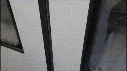 搞笑的GIF：关键时候，电线杆能救命