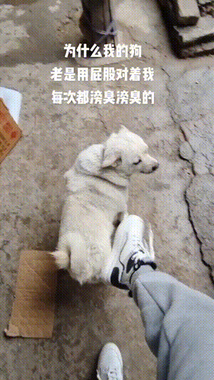 搞笑GIF动图：强制开机失败，请酒醒后再试