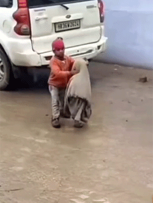 有趣GIF：女主人看监控，啥感觉啊？