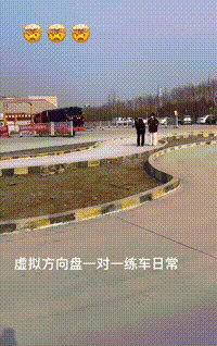 有趣GIF：女主人看监控，啥感觉啊？