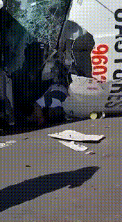 有趣GIF：女主人看监控，啥感觉啊？