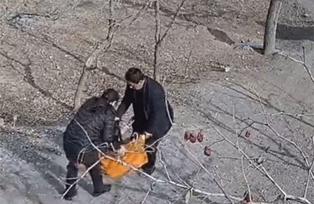 拿不出50万彩礼，女朋友被她父母强行拖走，边拖边打！