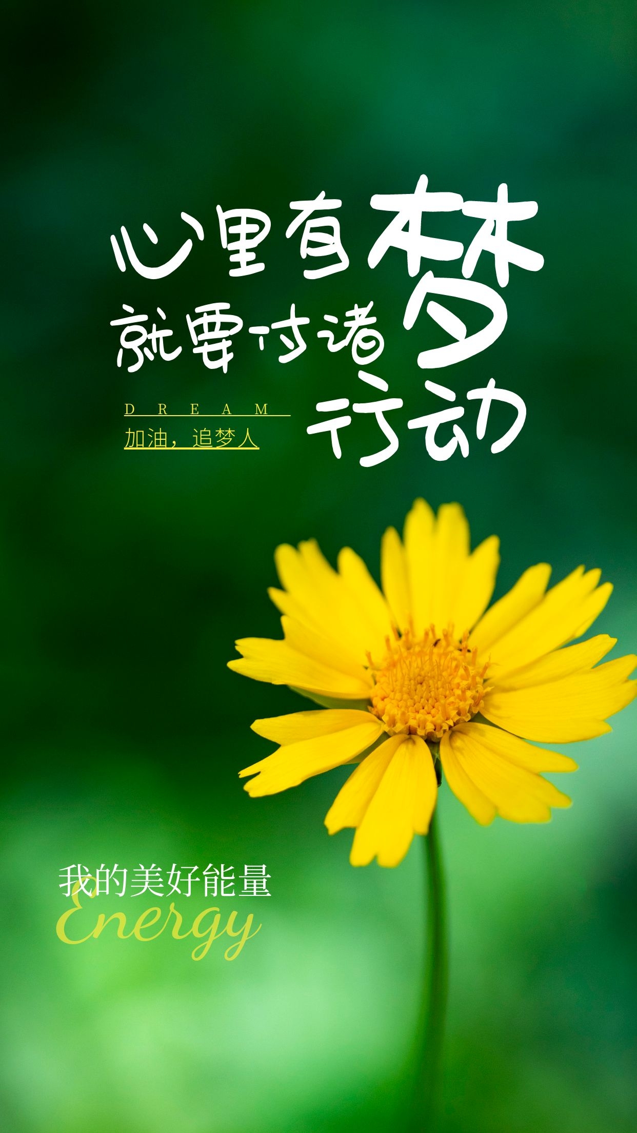 正月十四早安图片语录，大年十四配图祝福语文案