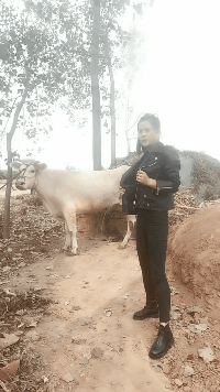 搞笑动态图片：虽然可能亲如父女，但是感觉怪怪的