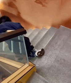 终极社死GIF