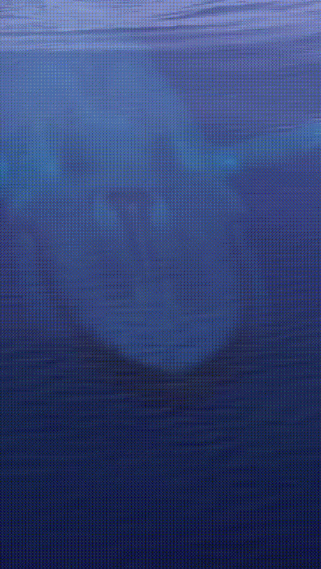终极社死GIF